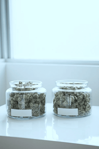 Benefits of CBD Australian medical cannabis industry