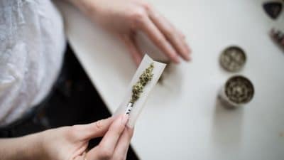 Marijuana being rolled