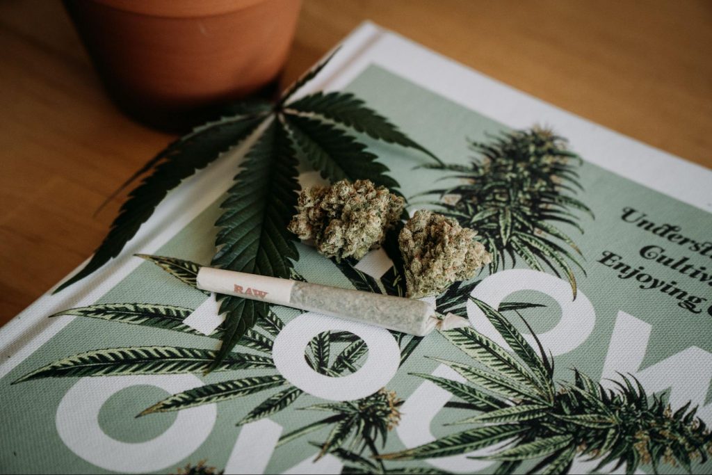 Guide to Seamlessly Travelling in Australia with Medicinal Cannabis - AltMed