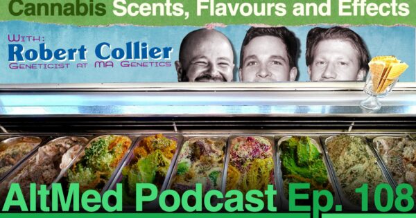 Ep-108---Cannabis-Scents,-Flavours-and-Effects-YT