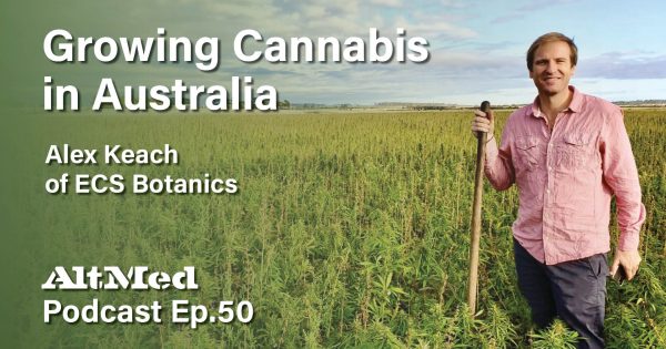 cannabis-podcast-altmed-50-yt