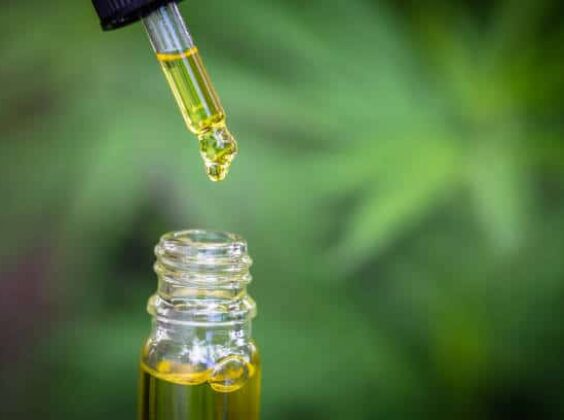 CBD extract and Oils alternative medicine